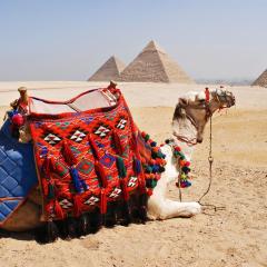 Elgabry pyramids inn