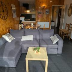Appartement 3 pièces 6 pers, proche pistes, exposé SUD - FR-1-262-193