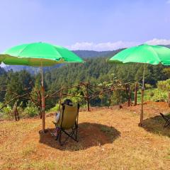 Ciwidey Jungle Camp & Cabin