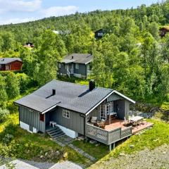 Filefjellhytta ved Tyin og Jotunheimen