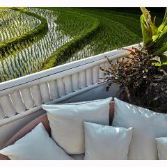 The Laut Bali- Design Villa Rice Field View Pool