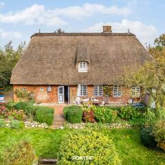 Ferienhaus Haus Holländerdeich Fahretoft