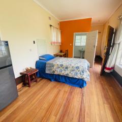 Comfortable Guest Rooms in Harare's Leafy Diplomatic Area