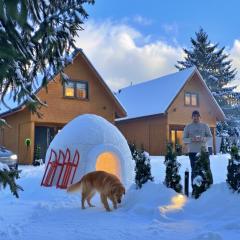 Dream Home Pet-Friendly - Ogród 600m2, Las 10min