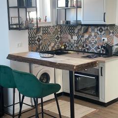 Bachner Rental Fagaras