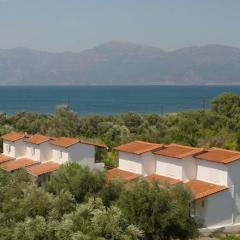 Ostria spiti