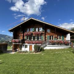 Apartment Alpenchalet Haldeli by Interhome