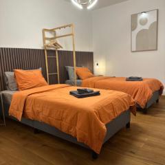 Work and Chill Apartment near Zermatt and Lonza