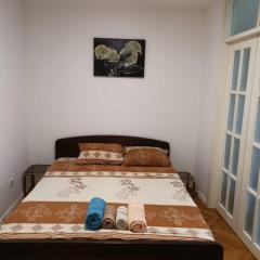 Belgrade on water - City center