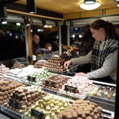 Rooseveltova Apartment Near Castle