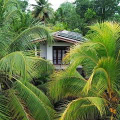 Coconut Shady Villa