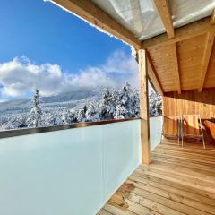 Holiday Home SKYLIGHT Chalet by Interhome