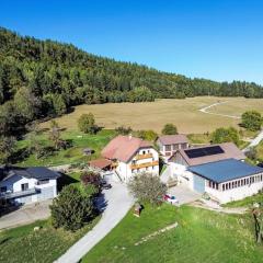 Apartment Hochstuhlblick by Interhome