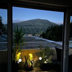 Apartment in Bad Herrenalb