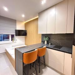 Royal smart apartment on Shevchenka 73a str