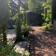 Natuurhuisje De Boshut