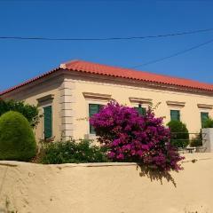 Traditional House