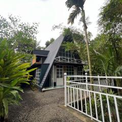 The Stellar By Stayzi