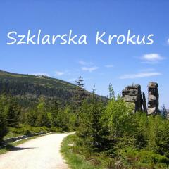 Apartament Szklarska Krokus - kolej linowa na Szrenicę 7 minut pieszo, wysoki standard, światłowód, parking