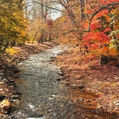 Cozy Creek Cottages