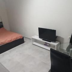 Amazing Studio 12 minutes walk Cente