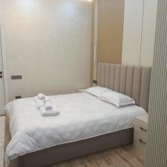 Уютная двух комнатная квартира возле Simketsity mall