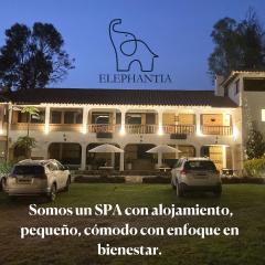 Elephantia Spa Hotel