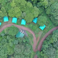 Camaquiri conservation initiative