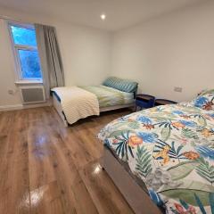 Modern Peckham Rye London Apartment Zone 2 Location
