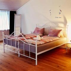 Muota River Loft & Muota Industry Apartment near Stoos