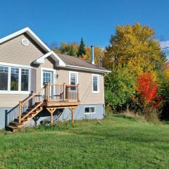 Coin cosy dans les bois
