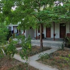Rasta Homestay Ekas Bay