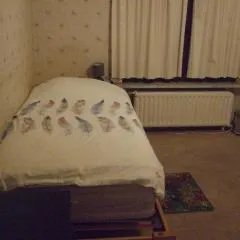 Bij het station van Drongen