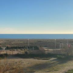 Port Leucate: T2 climatisé, 4 pers, parking, proche plage - FR-1-81-626