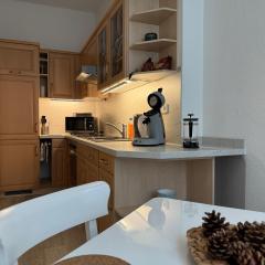 Appartement Chemnitz-Kaßberg