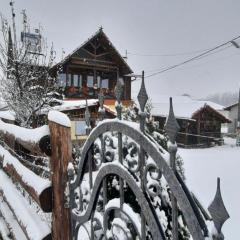 Cabana Ollie Retezat