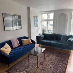 Spacious Apartment Near City & Åløkke Forest