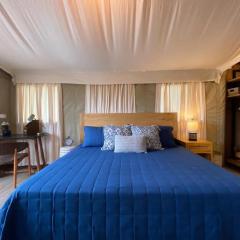 Premium Lakefront Cabin 4 The Cardinal