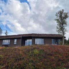 Modern mountain cabin with panorama view