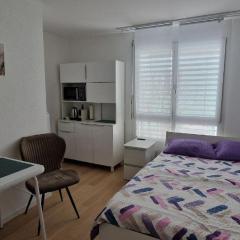 1 room studio with private bathroom