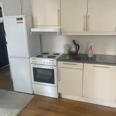 Grand center apartment