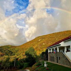 Pensiunea La Mustata