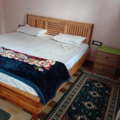 Himalayan view cottage