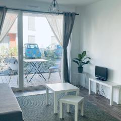 Appartement Cosy et chaleureux proche des grandes entreprises Toulousaine