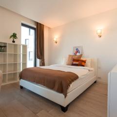 Premium Studio Apartment in Herastrau with City View