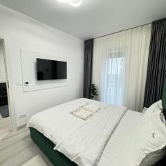 Cozy Apartments in Centre of Arad Adora Park