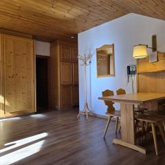 Aparthotel Carbonin