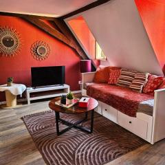 Joli T2 centre historique de Mulhouse