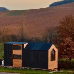 Mighty Fins Retreat X by Tiny Away