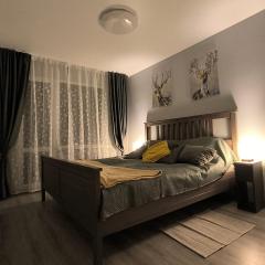 Ludza Stay Apartment